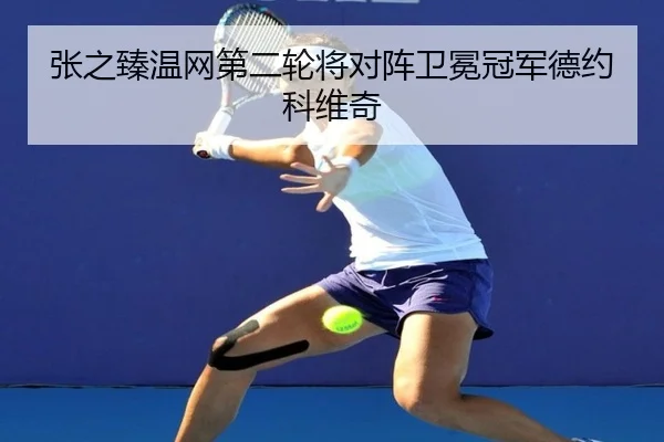 张之臻温网第二轮将对阵卫冕冠军德约科维奇